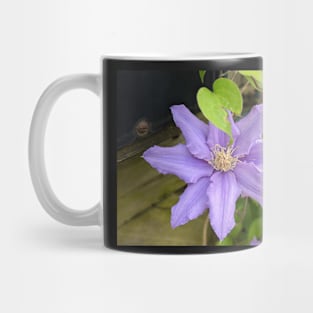 Clematis Fuji-Museme Flowers 5 Mug